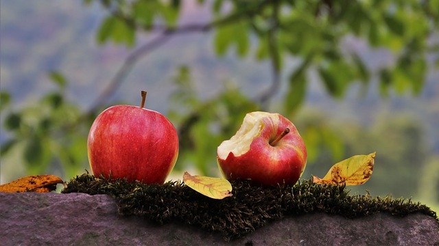 zdrowa eko dieta jesienią