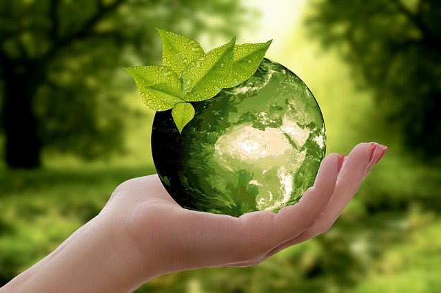 Jak być eko i jak uczyć dzieci bycia ekologicznym