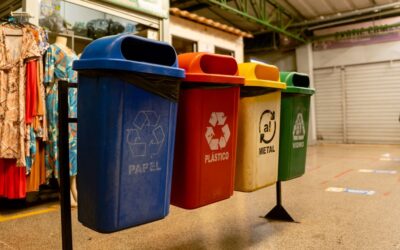 Segregacja odpadów — co do którego koloru pojemnika
