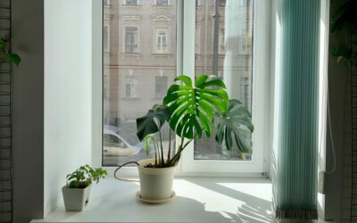 Smog w domu — jak poprawić jakość powietrza